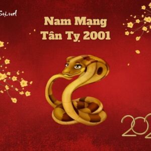 Tử Vi Tuổi Tân Tỵ 2001 Năm 2023 - Nam Mạng