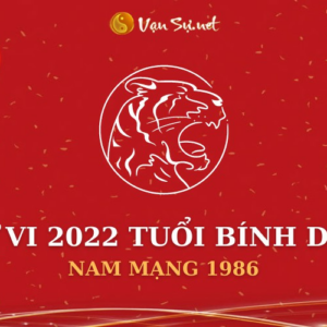 Tử Vi Tuổi Bính Dần Năm 2022 - Nam Mạng 1986 Chi Tiết