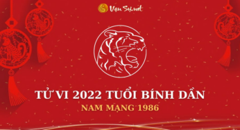 Tử Vi Tuổi Bính Dần Năm 2022 – Những Bí Ẩn Về Nam Mạng 1986