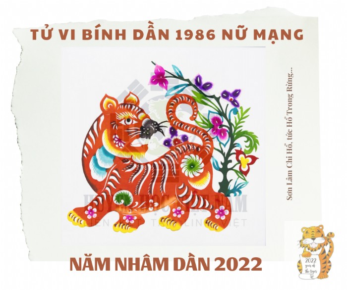 Điều Cần Biết Để Chọn Vòng Phong Thủy Tuổi Bính Dần 1986 Đúng Mệnh