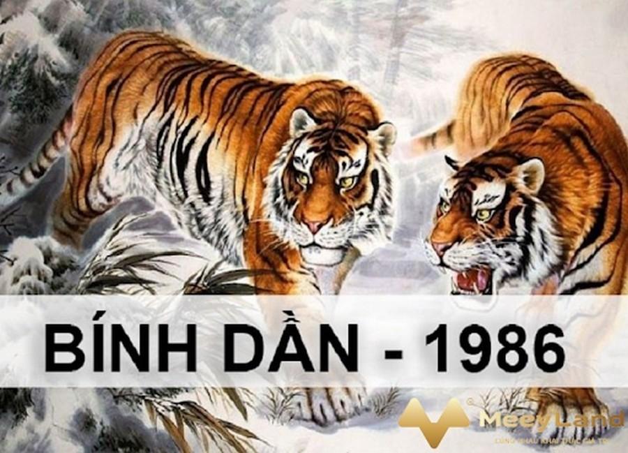 Tuổi Bính Dần 1986 cầm tinh con cọp, mệnh Hỏa