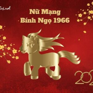 Tử Vi Tuổi Bính Ngọ 1966 Năm 2023 - Nữ Mạng