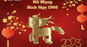 Tử Vi Tuổi Bính Ngọ 1966 Năm 2023 – Nữ Mạng