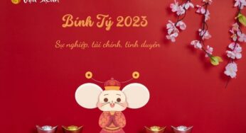 Tử Vi Tuổi Bính Tý 1996 Năm 2023 – Nam Mạng