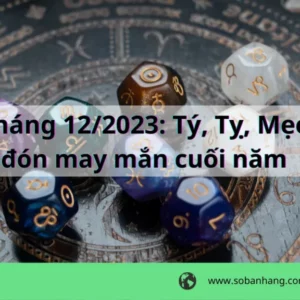 Tử vi tháng 12/2023: Tý, Tỵ, Mẹo, Hợi đón may mắn cuối năm