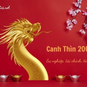 Tử Vi Tuổi Canh Thìn 2000 Năm 2023 - Nam Mạng