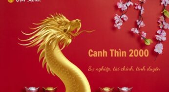 Tử Vi Tuổi Canh Thìn 2000 Năm 2023 – Nam Mạng