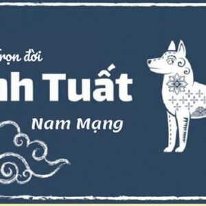 Tử Vi Tổng Hợp Cho Nam Tuổi Canh Tuất