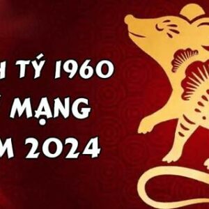 Xem tử vi tuổi Canh Tý 1960 - Nữ mạng năm 2024: Bí quyết để thu hút tài lộc và may mắn