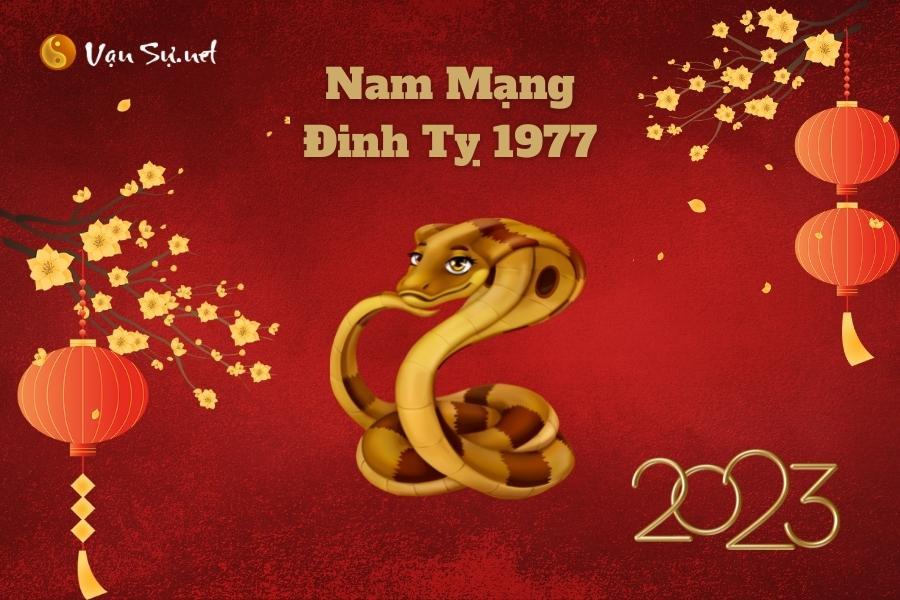 Lá số tử vi năm 2023 nam mạng Đinh Tỵ