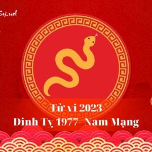 Tử Vi Tuổi Đinh Tỵ 1977 Năm 2023 - Nam Mạng