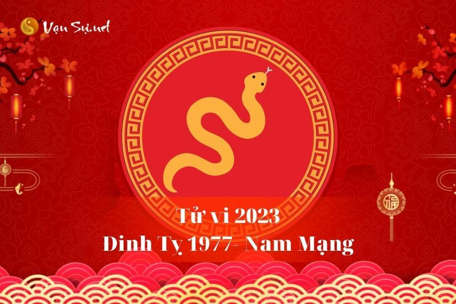 Tử Vi Tuổi Đinh Tỵ 1977 Năm 2023 - Nam Mạng