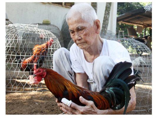 màu mang ga