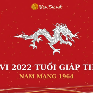 Tử Vi Tuổi Giáp Thìn Năm 2022 - Nam Mạng 1964 Chi Tiết