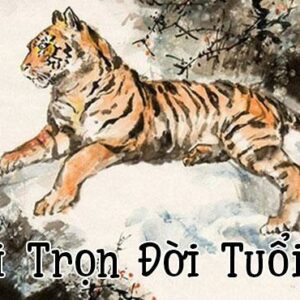 Tuổi Dần