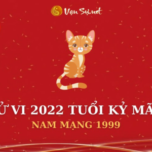 Tử Vi Tuổi Kỷ Mão Năm 2022 - Nam Mạng 1999 Chi Tiết