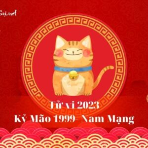 Tử Vi Tuổi Kỷ Mão 1999 Năm 2023 - Nam Mạng