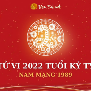 Tử Vi Tuổi Kỷ Tỵ Năm 2022 - Nam Mạng 1989 Chi Tiết