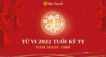 Tử Vi Tuổi Kỷ Tỵ Nam Mạng 1989 – Tìm Hiểu Chi Tiết Về Năm 2022