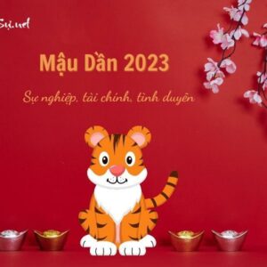 TỬ VI TUỔI MẬU DẦN 1998 NĂM 2023 - NAM MẠNG