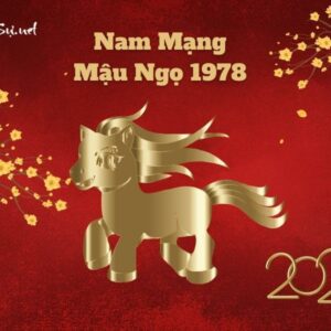 Tử Vi Tuổi Mậu Ngọ 1978 Năm 2023 - Nam Mạng