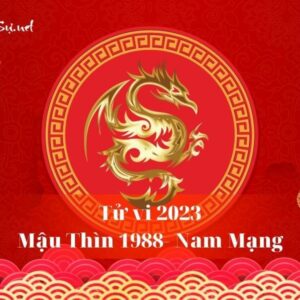 Tử Vi Tuổi Mậu Thìn 1988 Năm 2023 - Nam Mạng