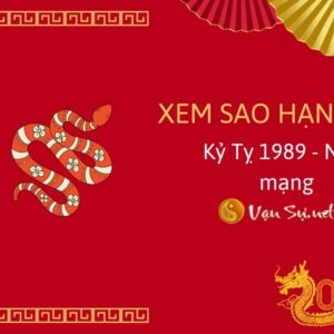 Tử Vi Tuổi Kỷ Tỵ 1989 Năm 2024 - Nam Mạng