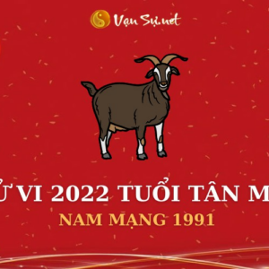 Tử Vi Tuổi Tân Mùi Năm 2022 - Nam Mạng 1991 Chi Tiết