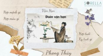 Tử Vi Tuổi Nhâm Thân 1992 Năm 2022 Nam Mạng: Những Thách Thức Và Cách Vượt Qua