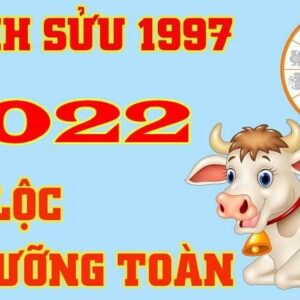 Tử vi tuổi Đinh Sửu 1997 năm 2022: một năm đầy may mắn