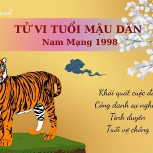 Tử Vi Tuổi Mậu Dần 1998 - Nam mạng | Chi tiết tử vi trọn đời