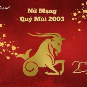 Tử Vi Tuổi Quý Mùi 2003 Năm 2023 - Nữ Mạng