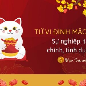 Tử Vi Tuổi Đinh Mão 1987 Năm 2024 - Sự Thành Công Đến Với Nam Mạng