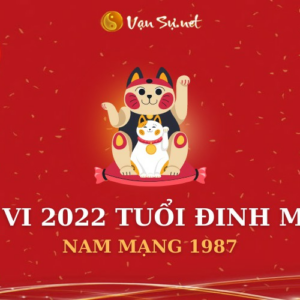 Tử Vi Tuổi Đinh Mão Năm 2022 - Nam Mạng 1987 Chi Tiết