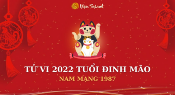 Tử Vi Tuổi Đinh Mão Năm 2022 – Thông tin chi tiết cho Nam Mạng 1987