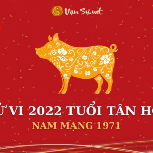 Tử Vi Tuổi Tân Hợi Năm 2022 - Nam Mạng 1971 Chi Tiết