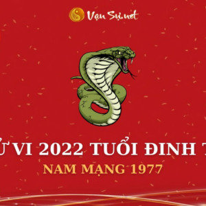 Tử Vi Tuổi Đinh Tỵ Năm 2022 - Nam Mạng 1977 Chi Tiết