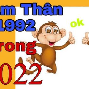 Tử vi tuổi Nhâm Thân 1992 năm 2022 chi tiết: sự nghiệp, sức khỏe, tình duyên, vận hạn