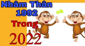 Tử vi tuổi Nhâm Thân 1992 năm 2022: Sự nghiệp, sức khỏe, tình duyên, vận hạn