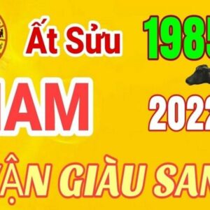 Tử vi Ất Sửu 1985 – Nam mạng: Cuộc sống, tình yêu và vận mệnh suốt đời