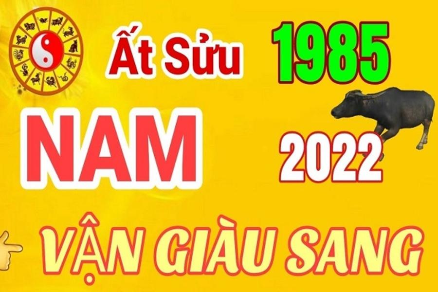 Tử vi Ất Sửu 1985 – Nam mạng: Cuộc sống, tình yêu và vận mệnh suốt đời