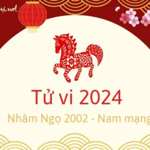 Tử Vi Tuổi Nhâm Ngọ 2002 Năm 2024 - Nam Mạng