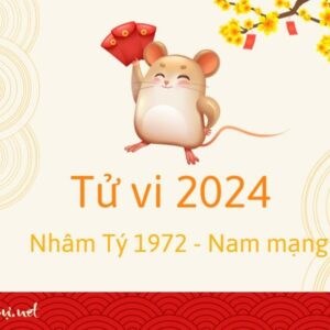 Tử Vi Tuổi Nhâm Tý 1972 Năm 2024 - Nam Mạng