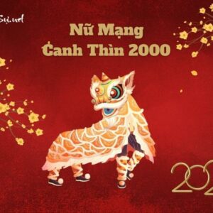 Tử Vi Tuổi Canh Thìn 2000 Năm 2023 - Nữ Mạng