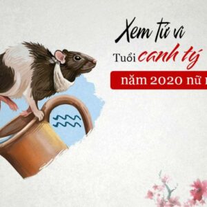 Tử vi Canh Tý 2020 nữ mạng chính xác nhất