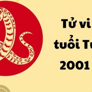 Tử vi tuổi Tỵ 2001 – Tử vi Tân Tỵ chi tiết trọn đời chính xác nhất 2023