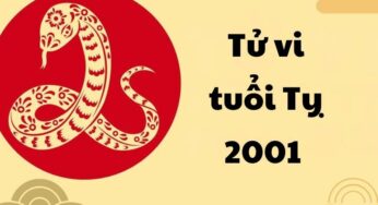 Tử vi tuổi Tỵ 2001 – Những bí ẩn đằng sau số phận