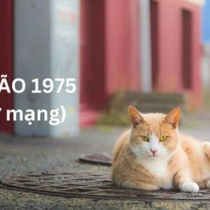 Xem tử vi tuổi Ất Mão 1975 - Đón nhận năm 2024 với niềm tin và sẵn sàng