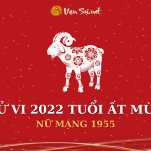 Tử Vi Tuổi Ất Mùi Năm 2022 - Nữ Mạng 1955 Chi Tiết