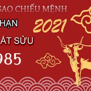 Tử vi Ất Sửu năm 2021 - Kỳ vọng và thử thách